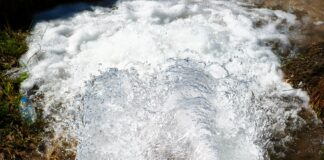 Yasağa Rağmen Mısır Ekimi 15 Milyar TL’lik Kayba Yol Açtı